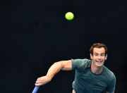 金年会体育-穆雷连续二十场比赛得分超过回归赛场，热火挑战极限！的简单介绍